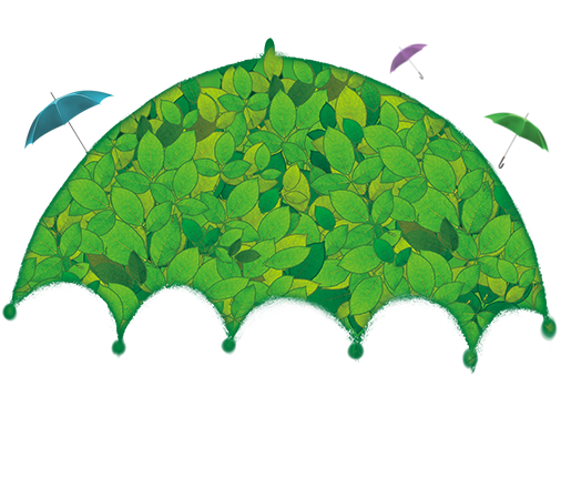 您的网站全职管家